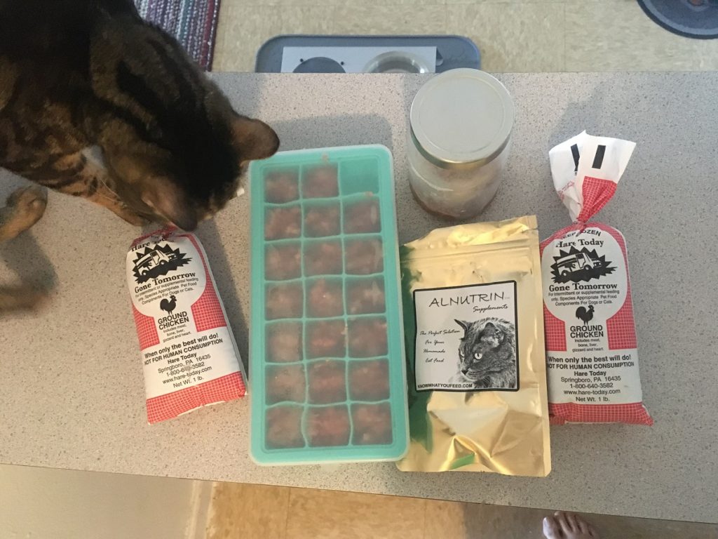 Raw Cat Food Calculator How Much to Feed and Cost of Raw