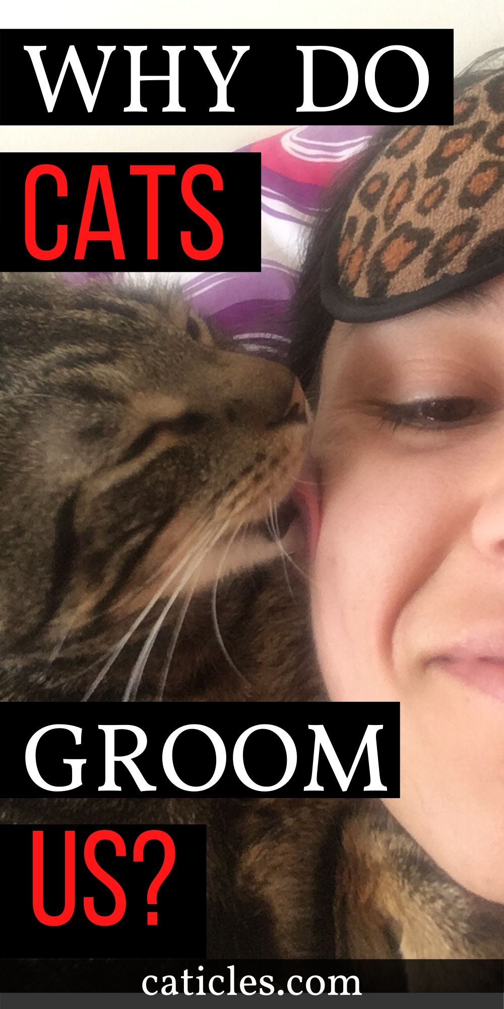 Does My Cat Love Me If He Sleeps with Me? 8 Definite Signs of Cat Love