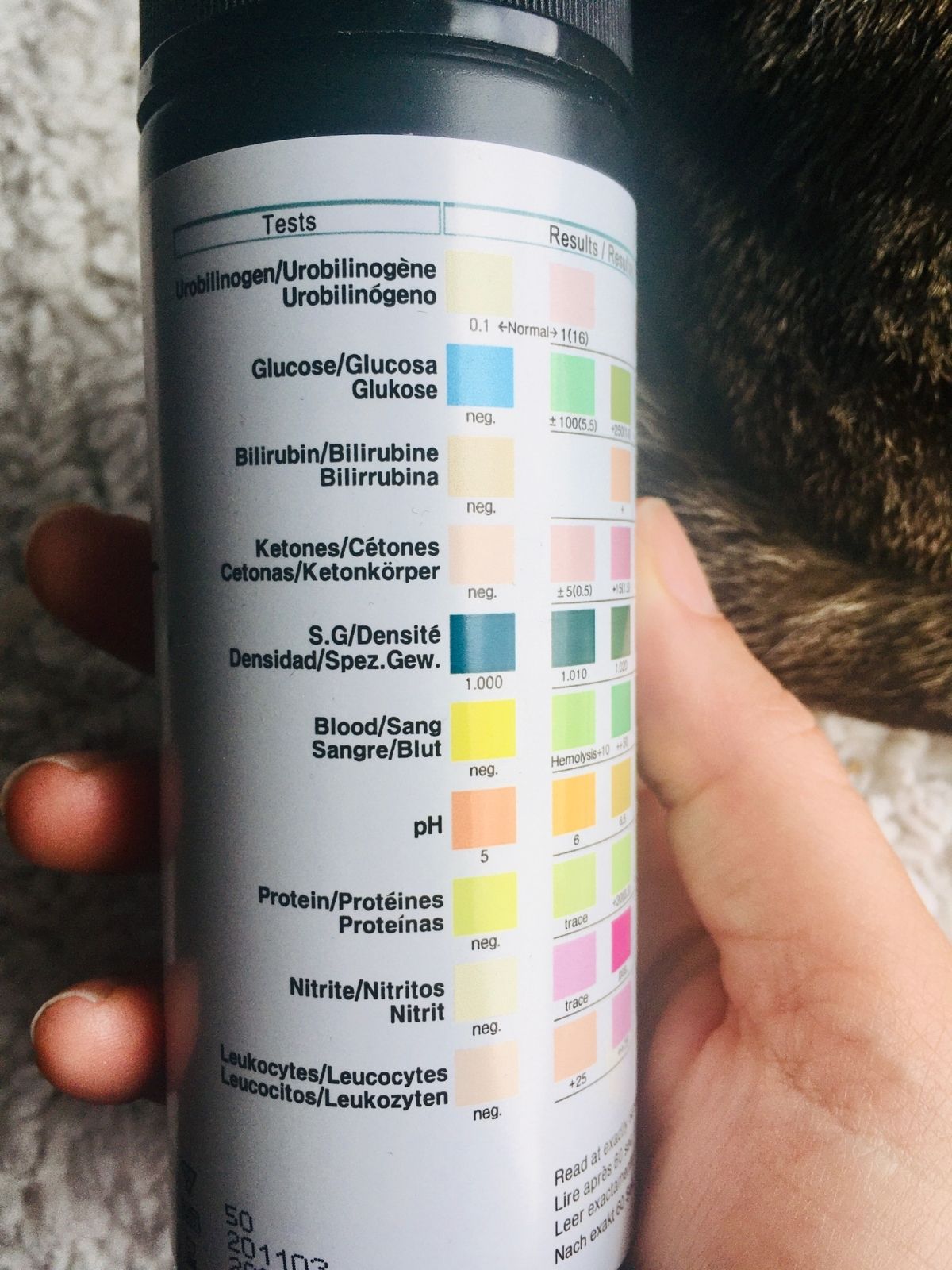 How to Keep Litter Box Area Clean Easily in 5 Mins/Week