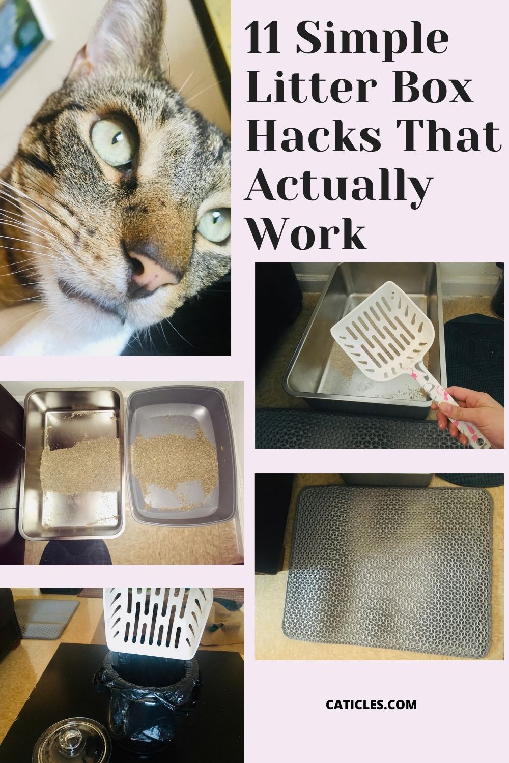 litter box hacks keep litter area clean caticles