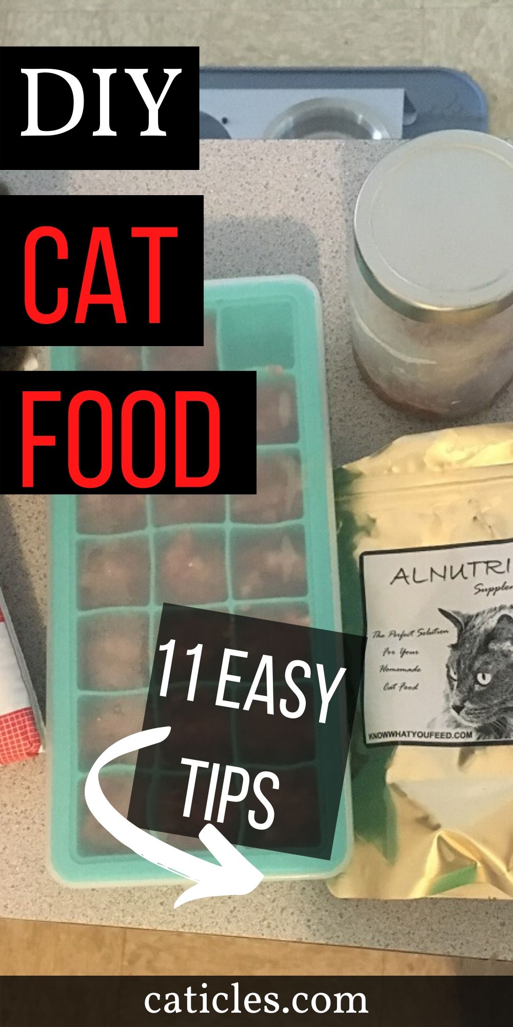 Ditch Kibble Homemade Cat Food is Too Easy and Way Healthier for Cats