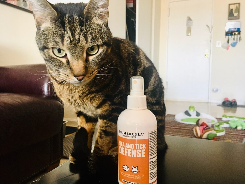 13 Eco-Friendly Cat Toys and Products - Jess Caticles - Eco-Friendly Flea Products For Cats