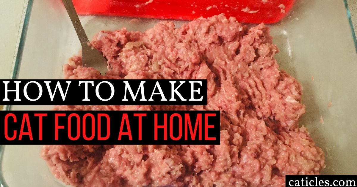 Benefits Of Homemade Cat Food Plus Healthy Easy Recipes