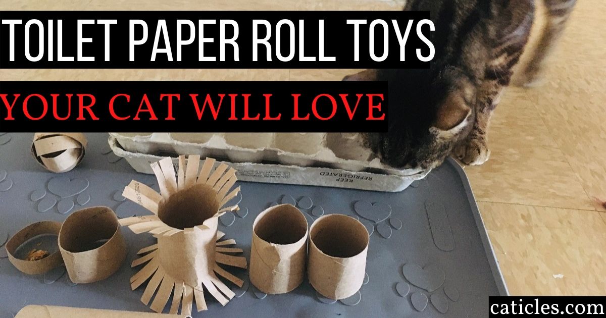 13 Diy Toilet Paper Roll Toys You Can Make For Your Cat Jess Caticles - Diy Puzzle Box For Cats