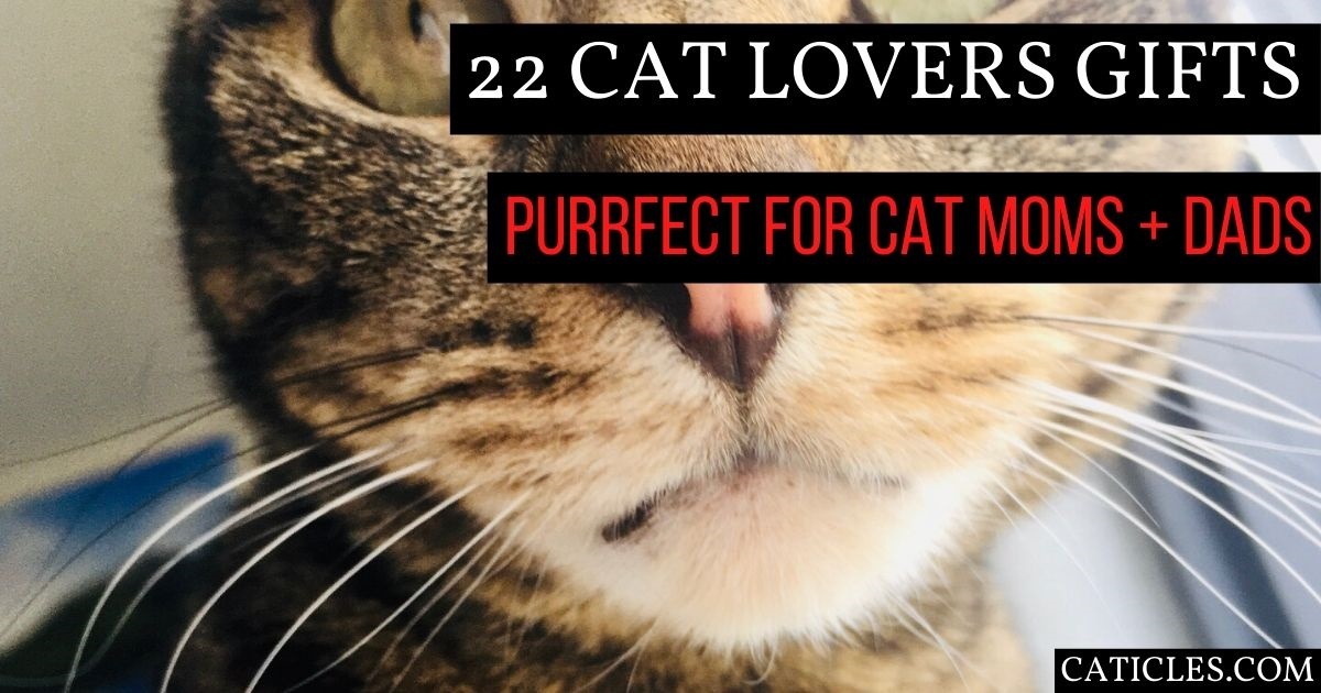 gifts for cat dads