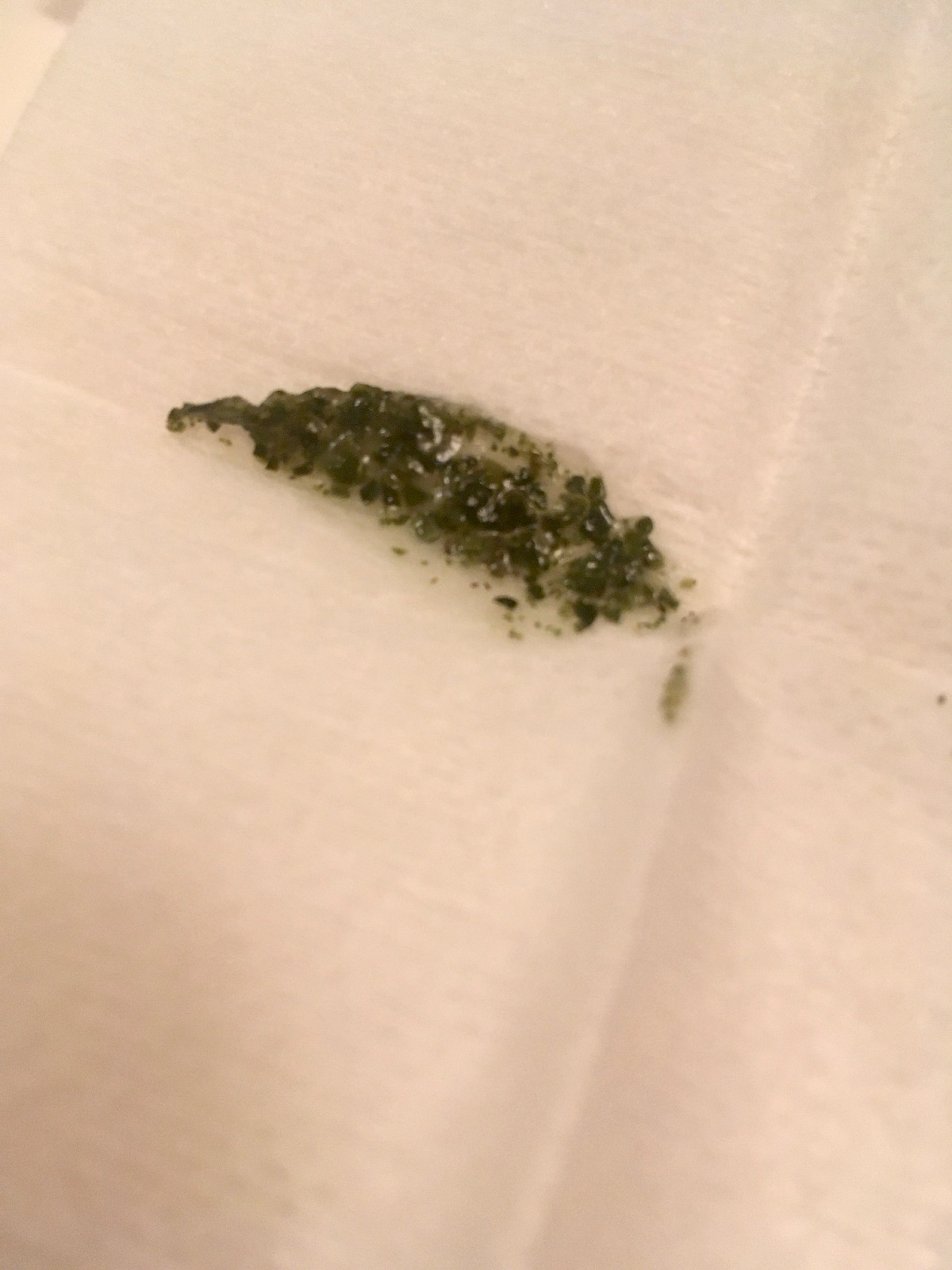 coconut oil cat toothpaste