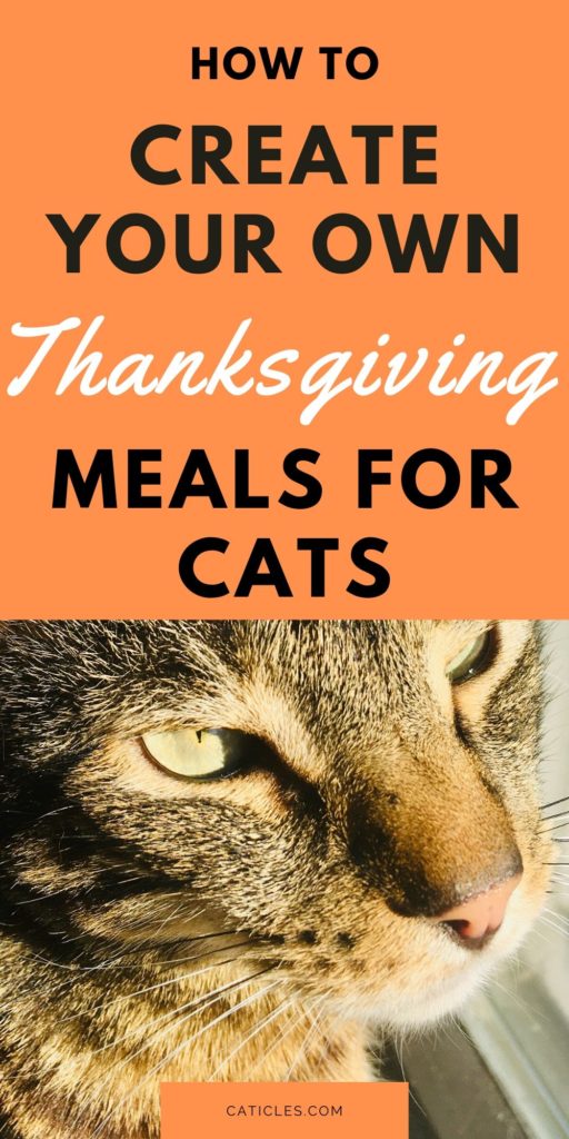 Healthy and Safe Thanksgiving Dinner for Cats Alternatives ...