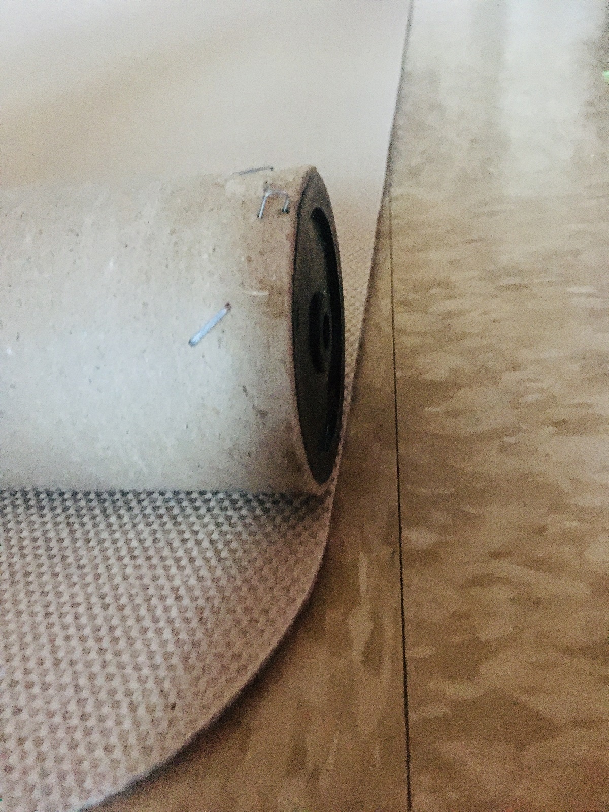 diy cat scratching post carpet
