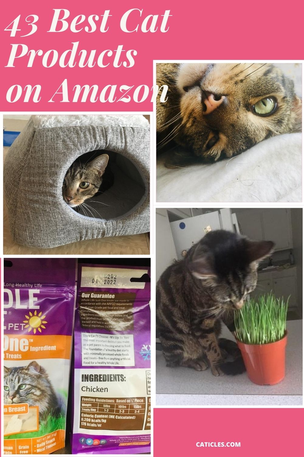 best cat products