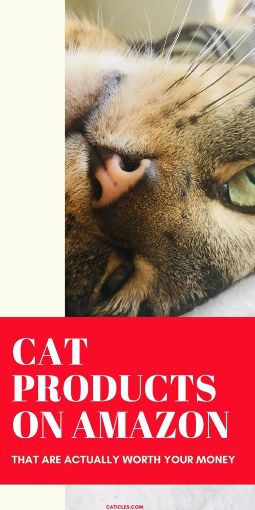 43 Best Cat Products on Amazon [2020 MustHave Guide]
