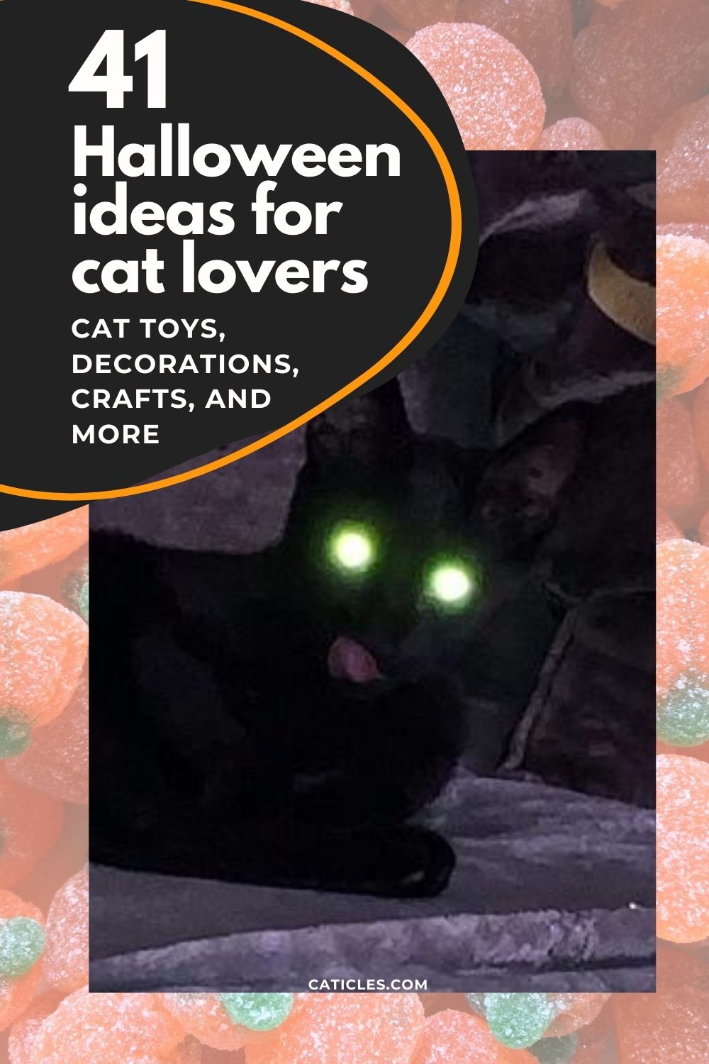 41 Cat-Themed Halloween Ideas | Cat Scratchers, Bed, Toys, Decorations