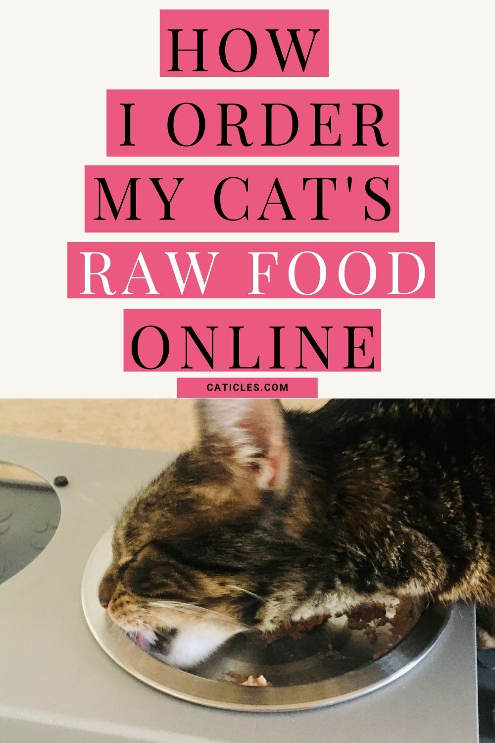 Best Raw Cat Food Delivery Service 