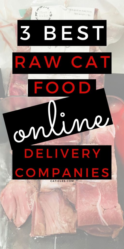 Raw Cat Food Brands That Deliver to You [Best of 2021]