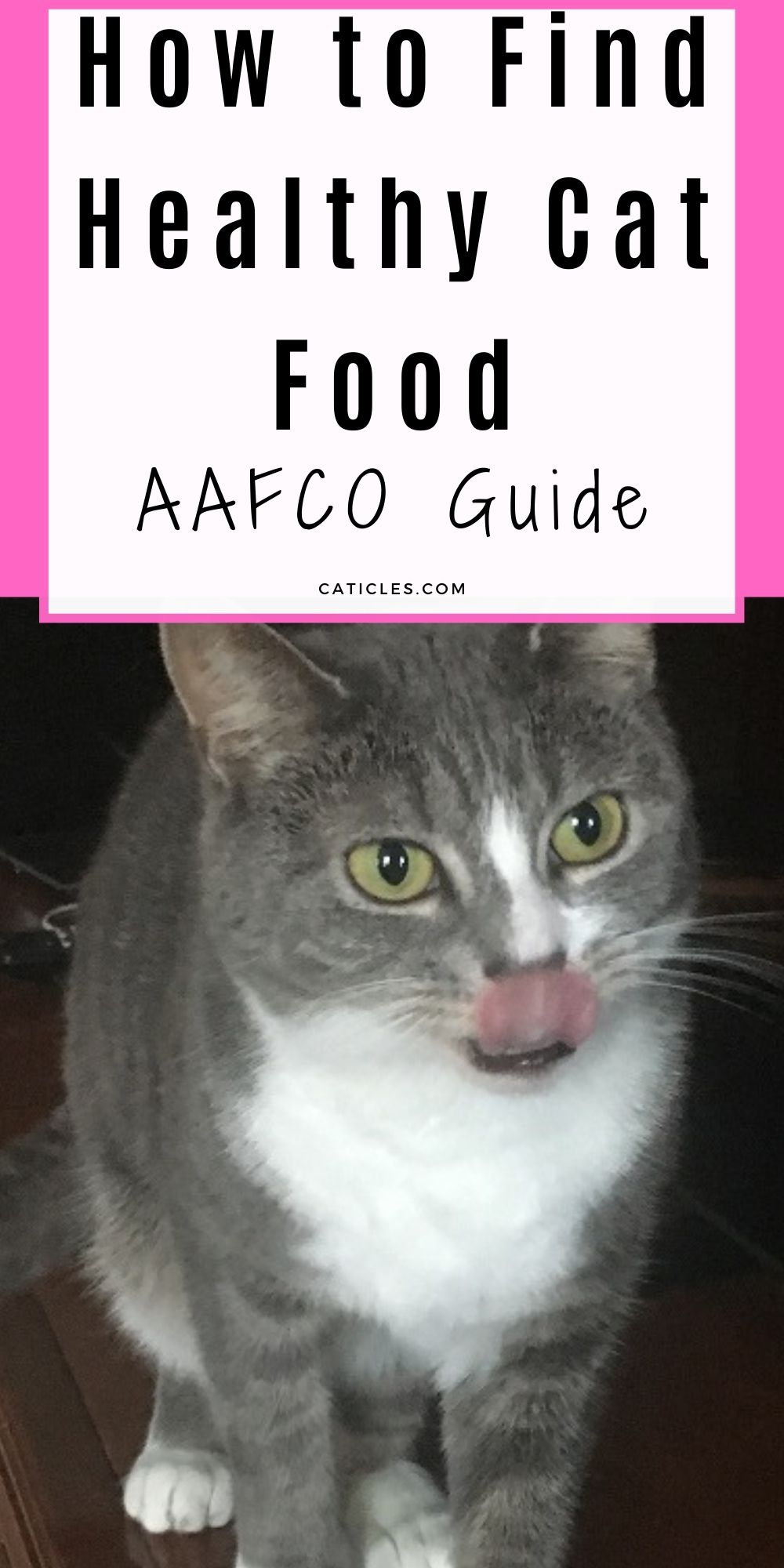 aafco approved cat food brands