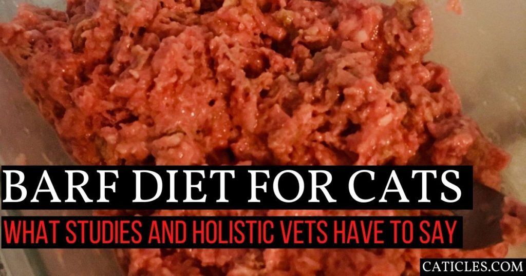 BARF Diet for Cats Food and Nutrition According to Vets