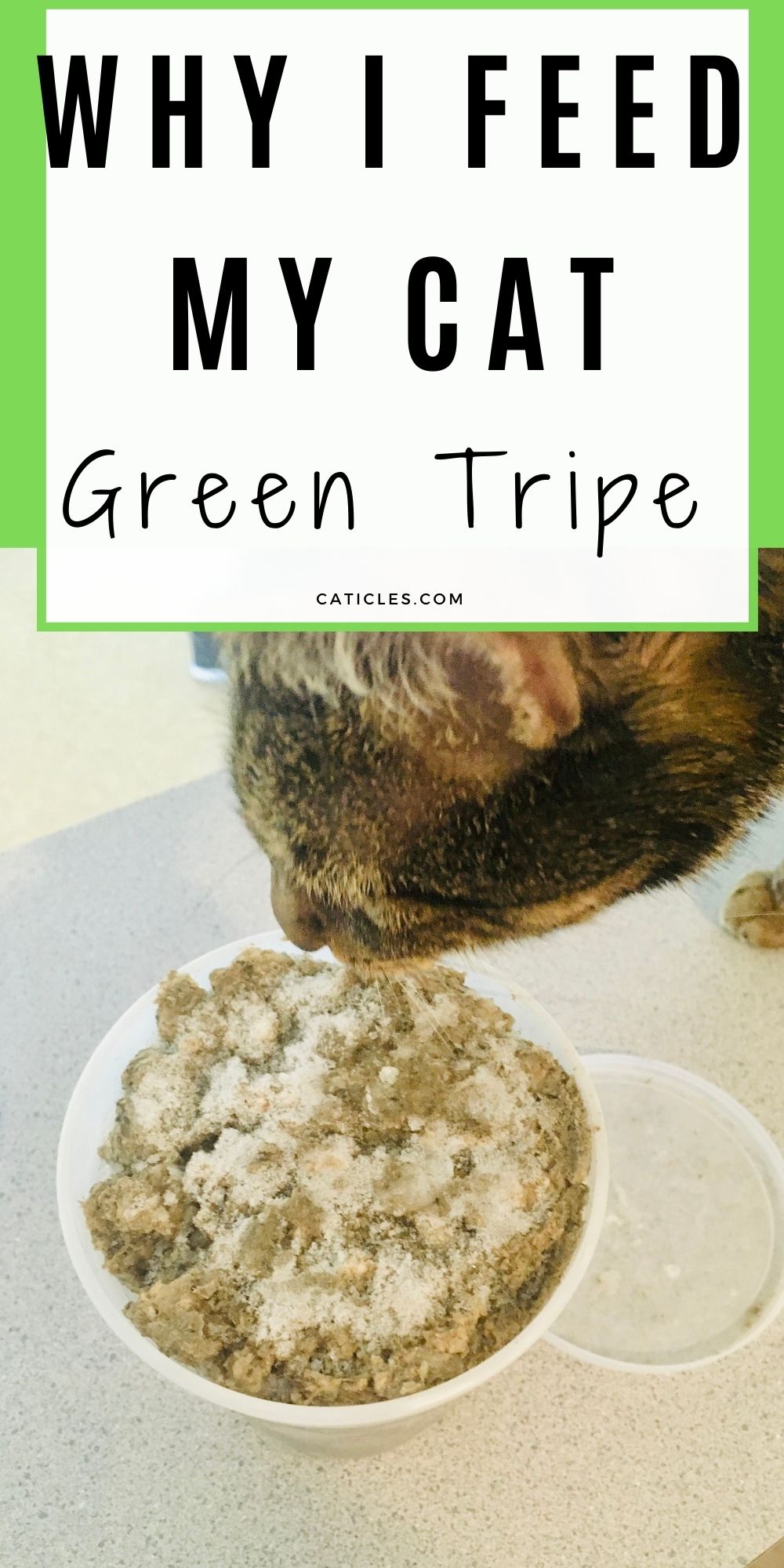 green tripe for cats
