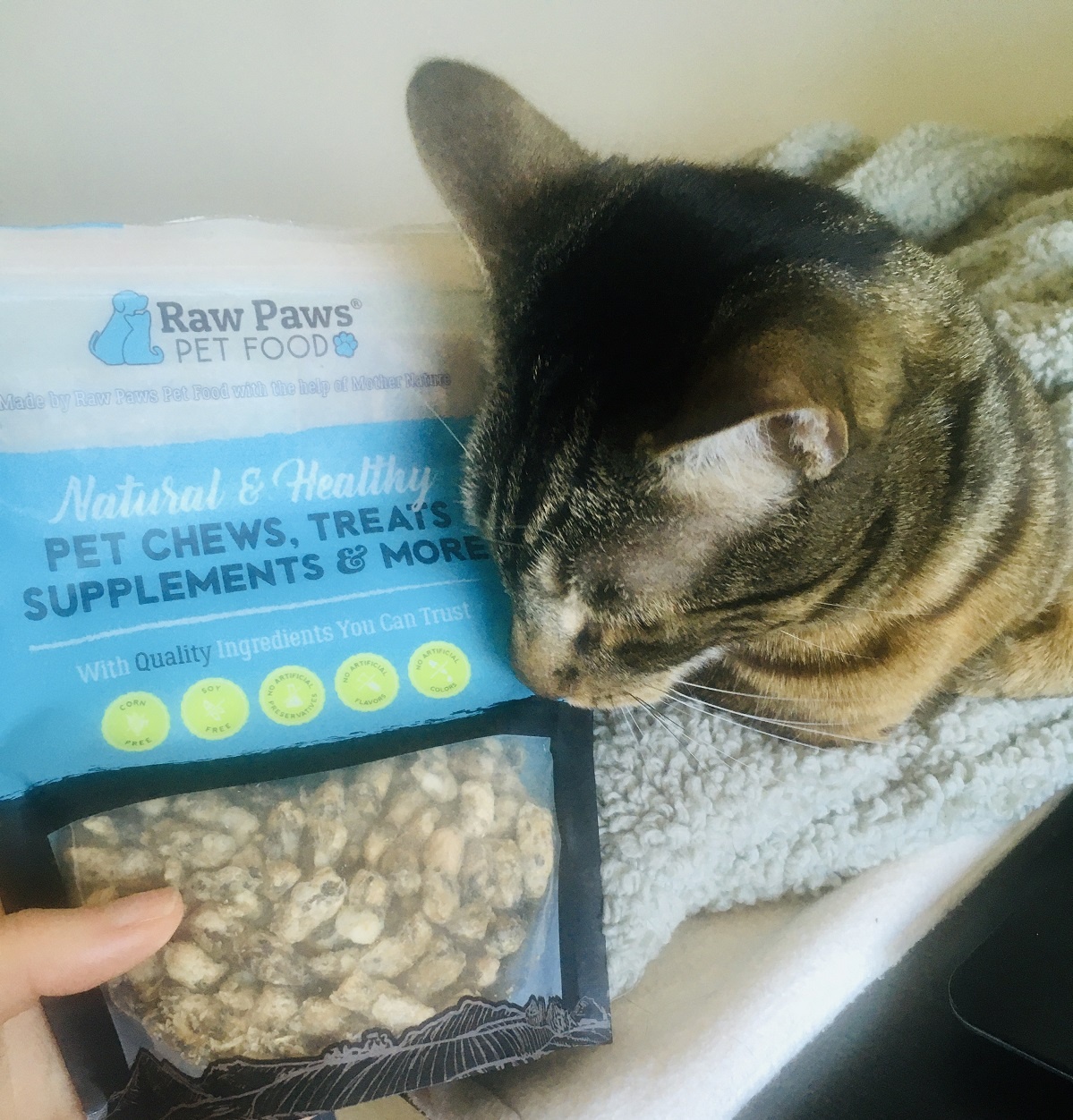 green tripe for cats