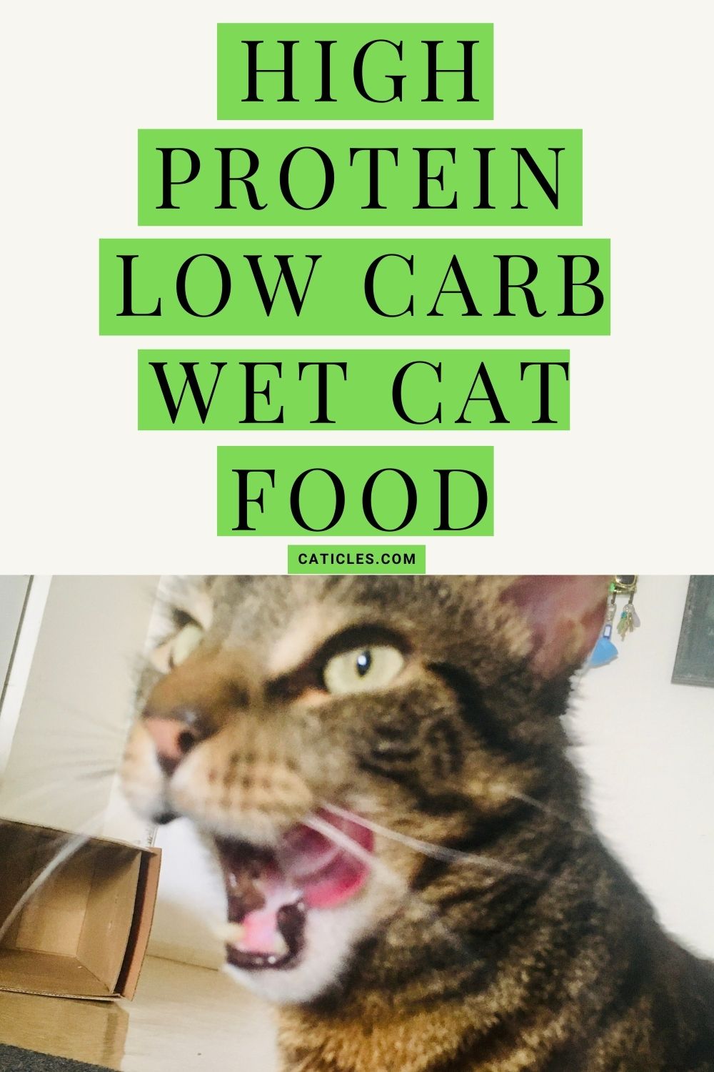 High Protein Low Carb Wet Cat Food Nutritional Analysis, 2021