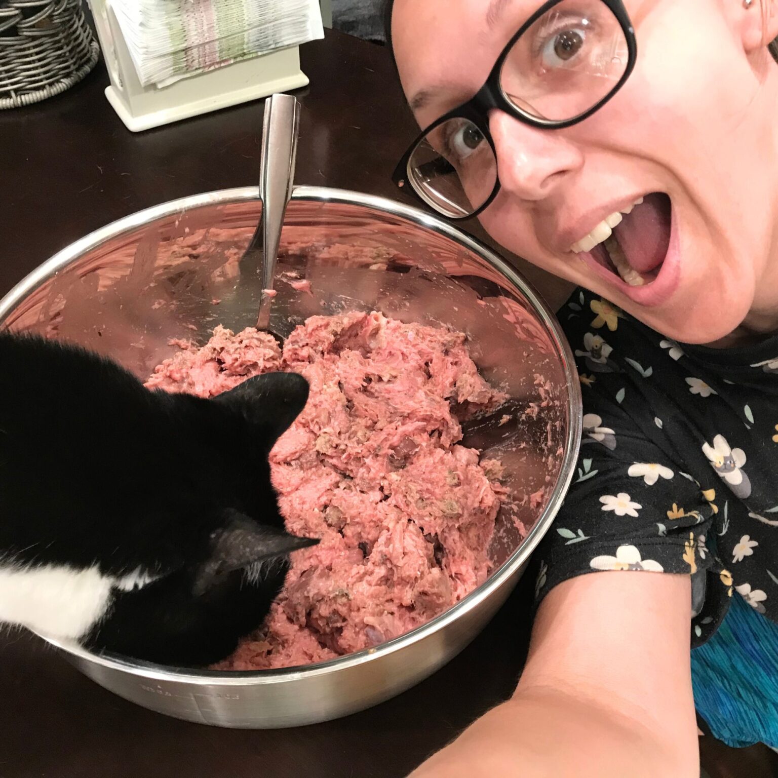 Carb Calculator for Cat Food [Dry Matter] Jess Caticles