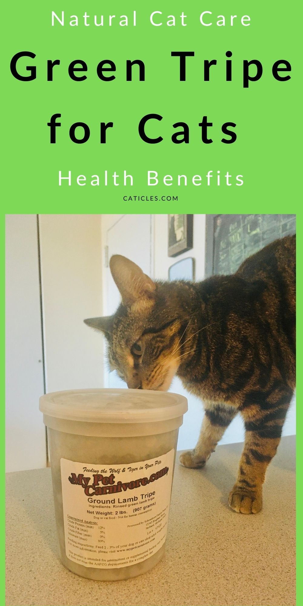 Image showcasing Green Tripe for Cats? Healthy Benefits and Where to Buy - CATicles