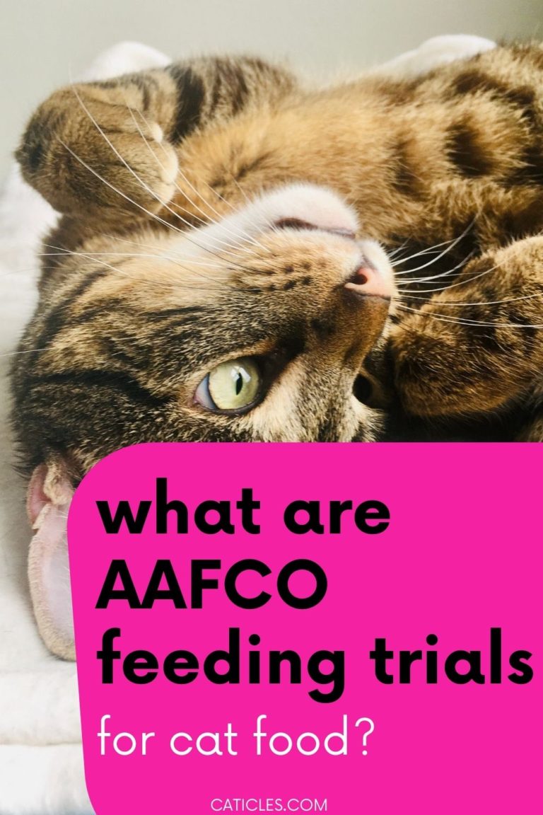 What are AAFCO Feeding Trials for Cat Food? CATICLES
