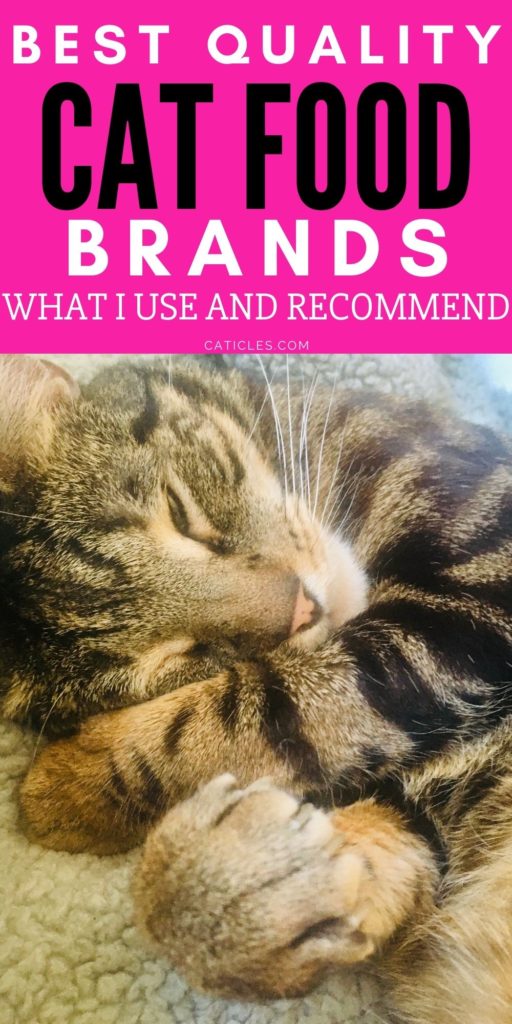 Best Cat Food Brands Healthiest Foods I Use and Recommend