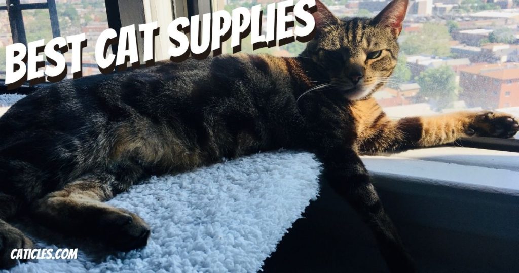 CAT SUPPLIES Archives Jess Caticles