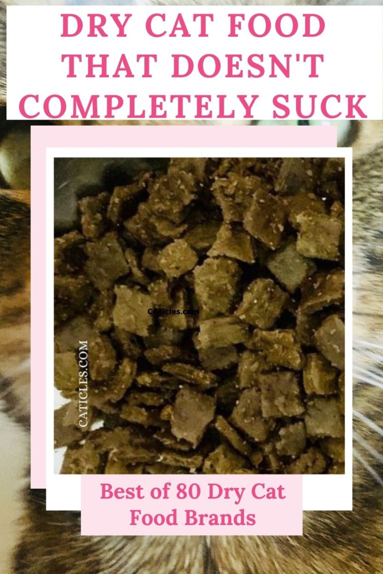 Best Dry Cat Food Doesn’t Exist but These Aren’t THAT Bad