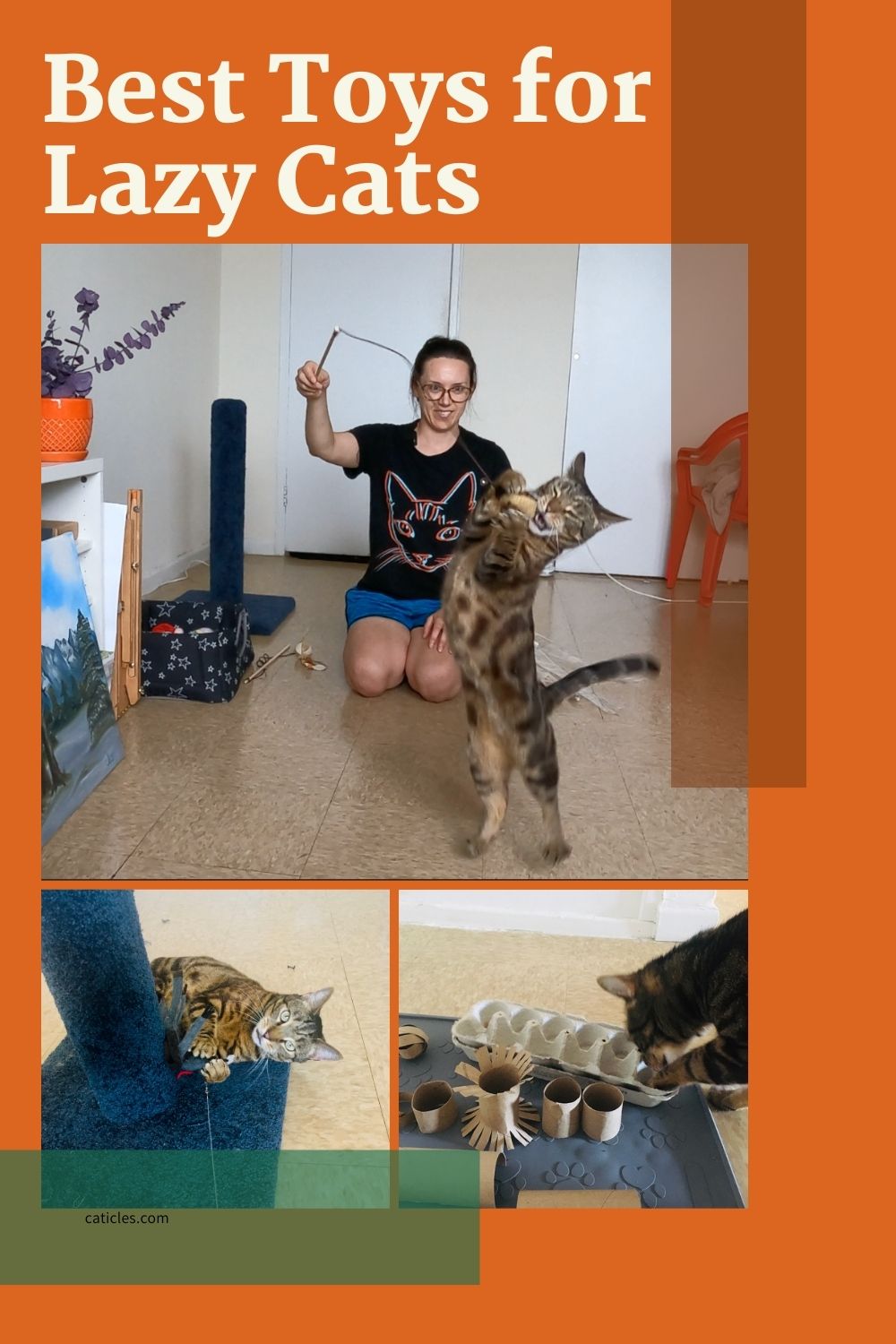 Lazy Cat Toys Cats Actually Play With Jess Caticles