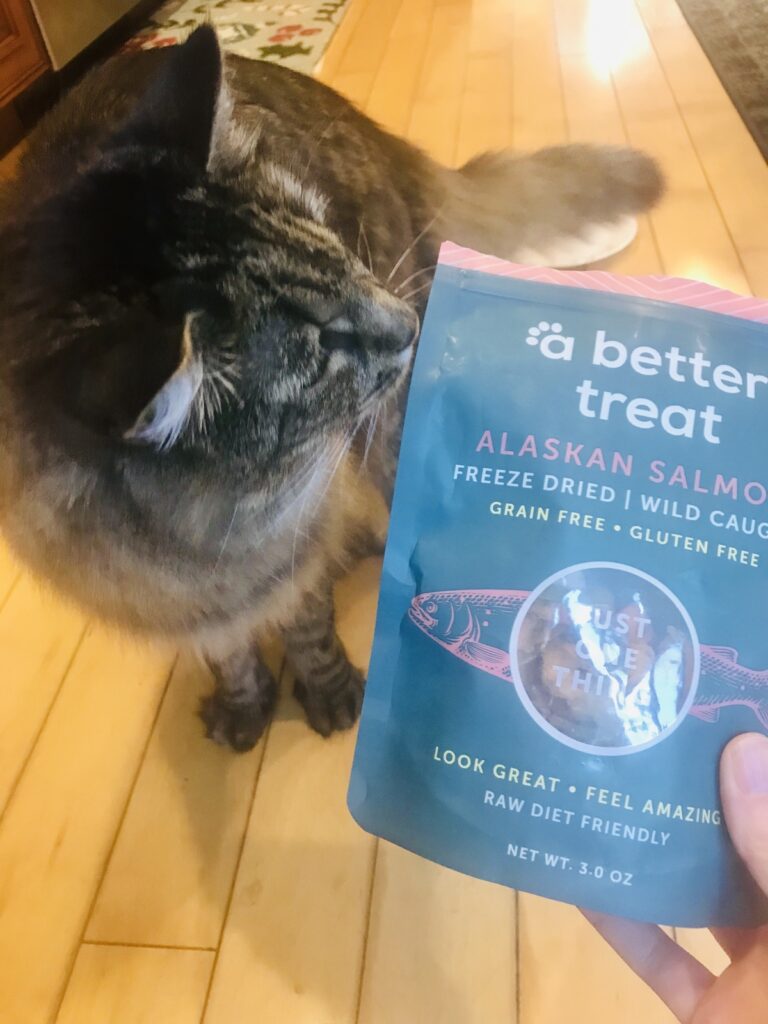 What is in Cat Treats That Cats Love?