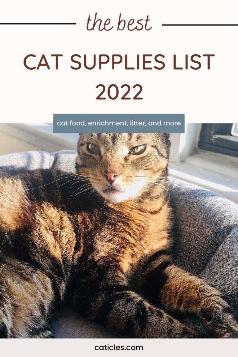 Best Cat Supplies 2022 List