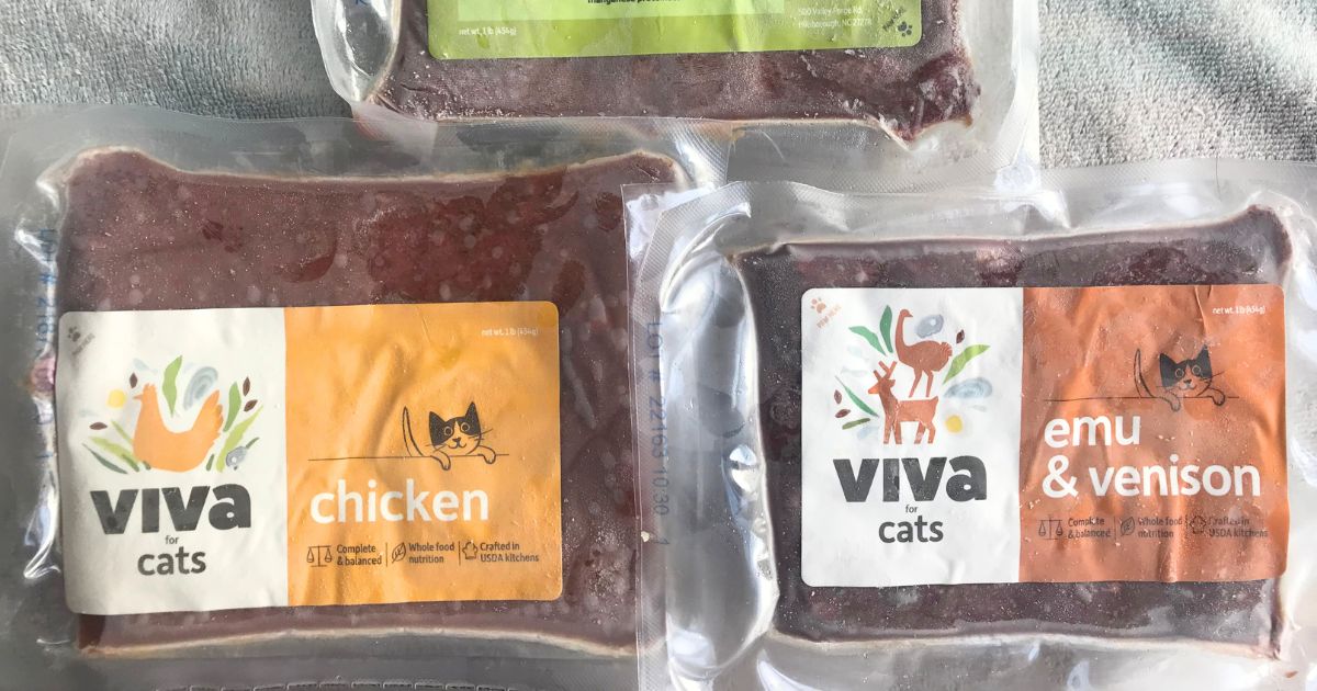 viva-raw-cat-food-review-discount-jess-caticles
