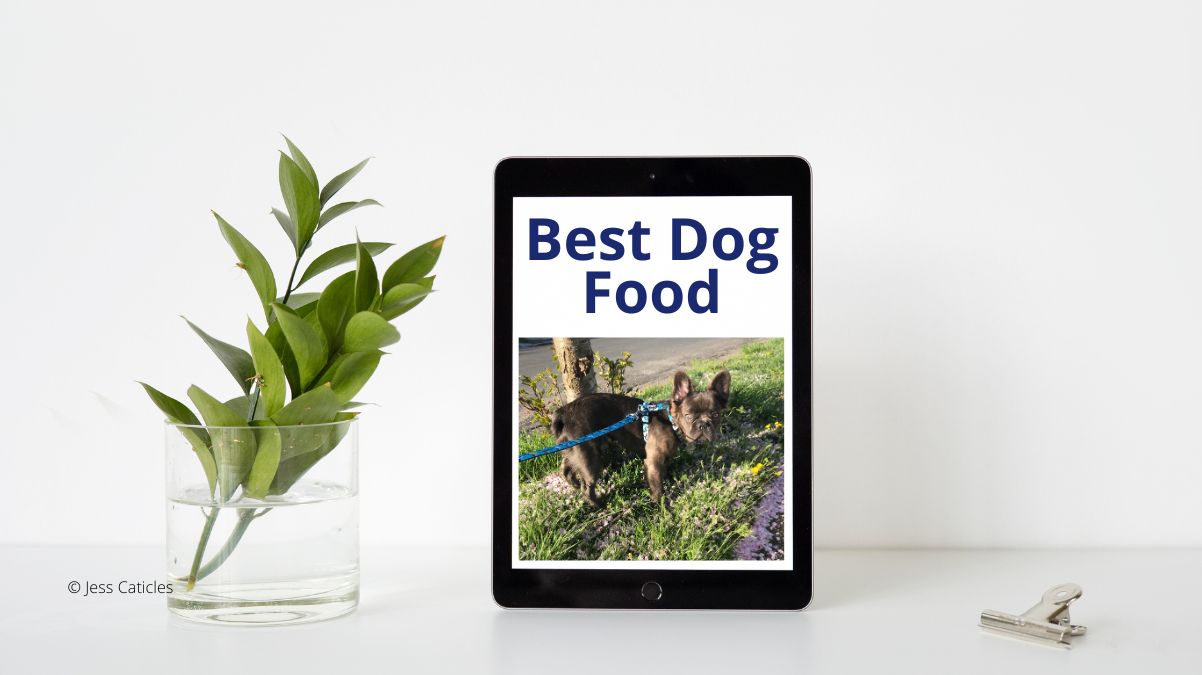 DOG FOOD REVIEWS 2023 visual data 8